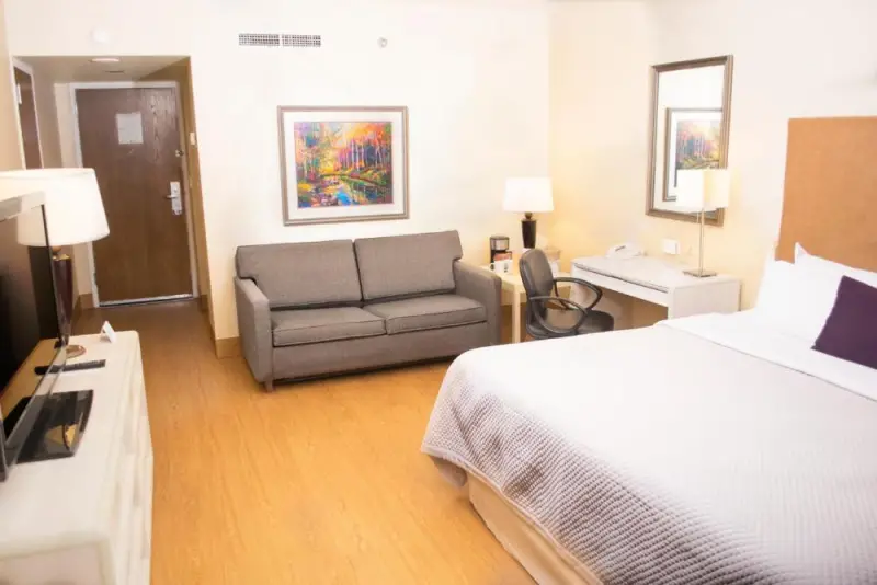 Deluxe King Room